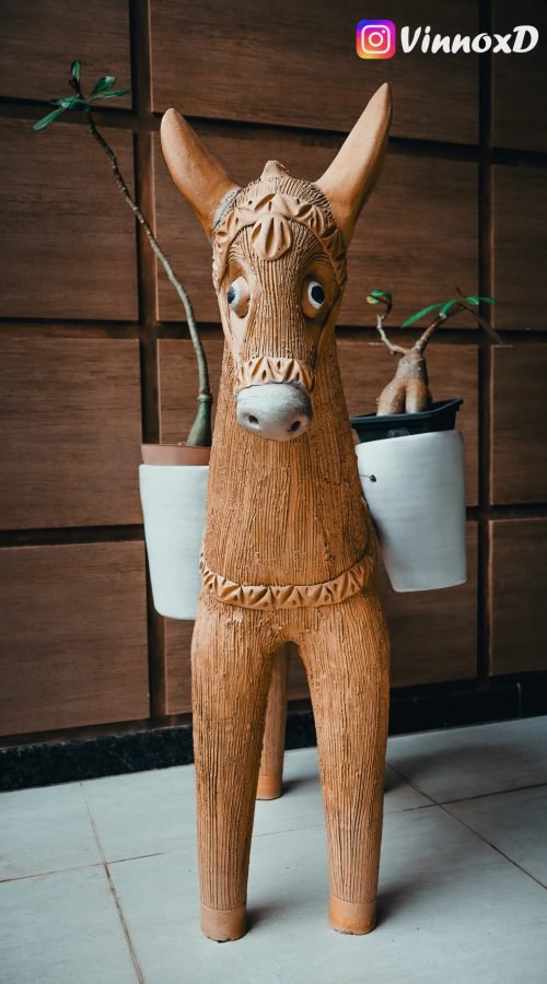 Foto Câmera Editada-1